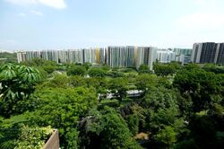 d'Nest (D18), Condominium #580930521